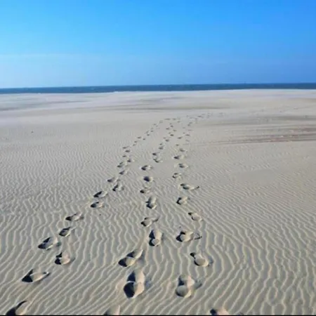 In Koksijde Near The Dunes, Cleaning Included Остдёйнкерке