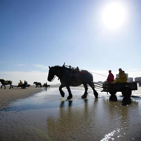 In Koksijde Near The Dunes, Cleaning Included * Остдёйнкерке