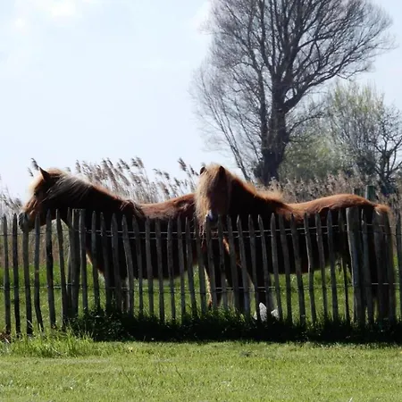 Апартаменты In Koksijde Near The Dunes, Cleaning Included Остдёйнкерке